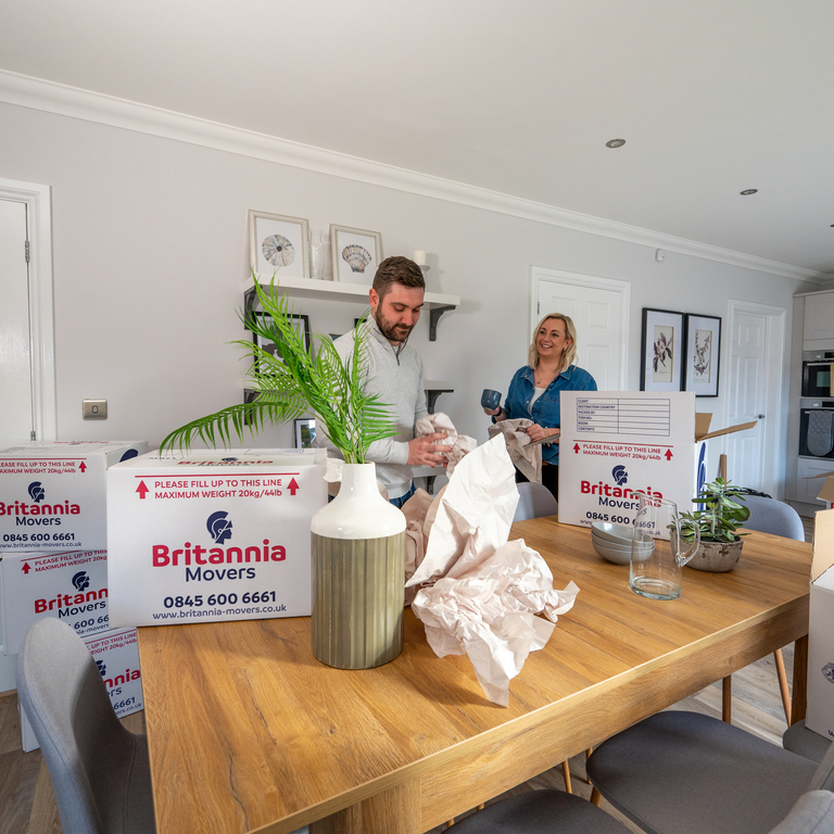 House packing with sturdy boxes - Image 2